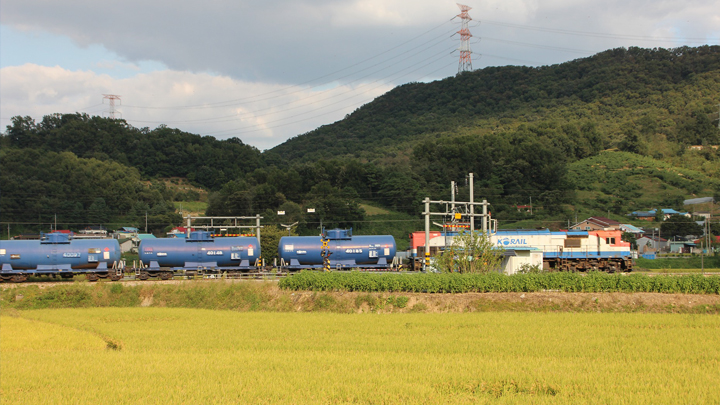 Trains Trains